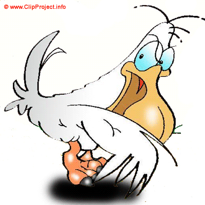 Bird clipart free