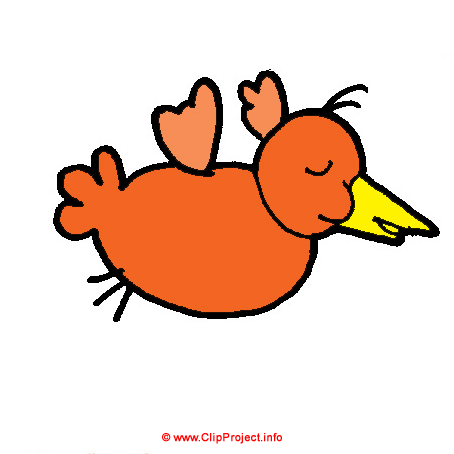 Bird draw - Animal pictures for kids