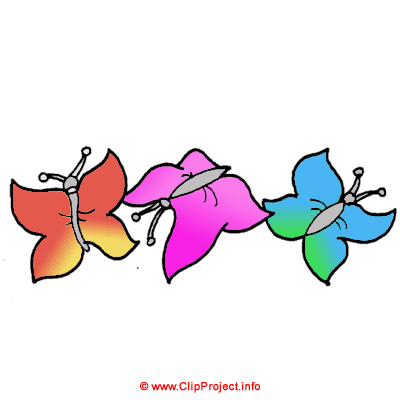Butterfly clip art - Animal clip art