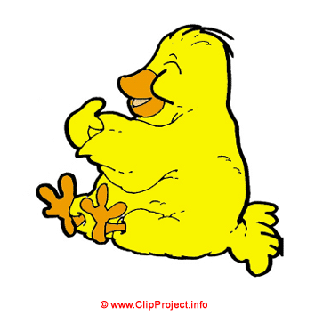 Chicken clip art - Clip art birds