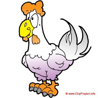 Cock clip art - Pictures of farm animals