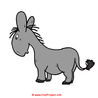 Donkey clipart - Zoo