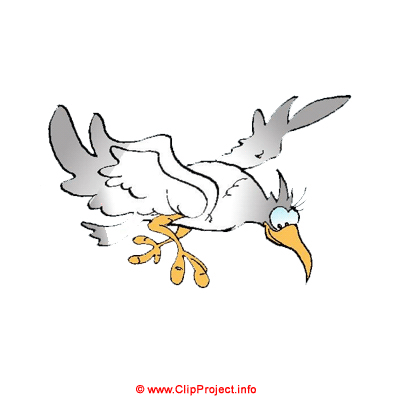 Flying bird - Animal