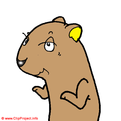 Gopher