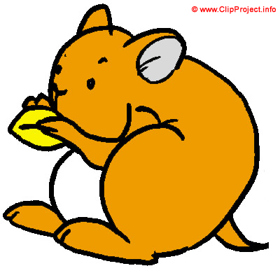 Hamster clip art image - Animal clipart