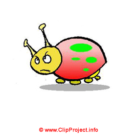 Ladybeetle clip art - Animal pictures for kids