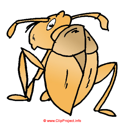 Locust clip art - Animal clip art
