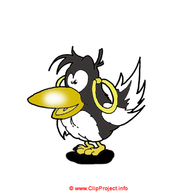 Magpie bird clip art - Clip art birds