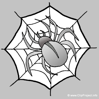 Spider clip art - Animal pictures for kids