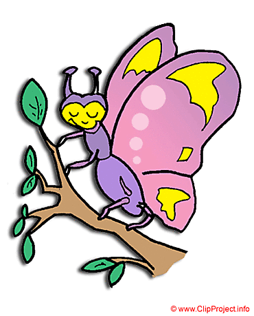 Butterfly cartoon image free