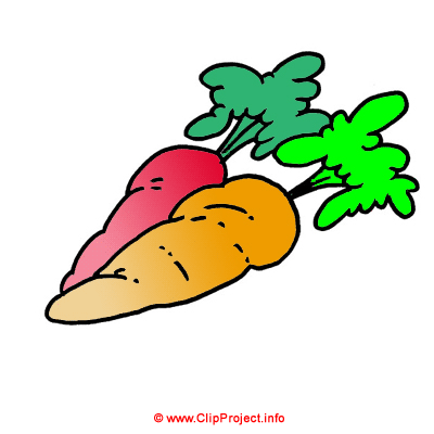 Carrots clip art free