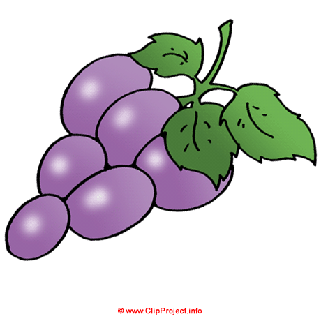 Grapes cartoon image free