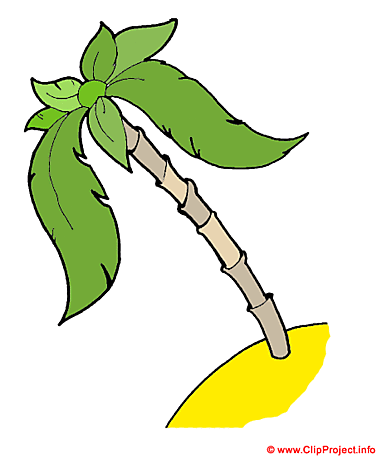 Palm clipart free