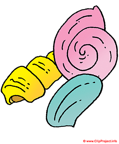 Shells clip art image