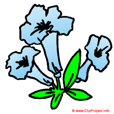Blue flower cartoon image