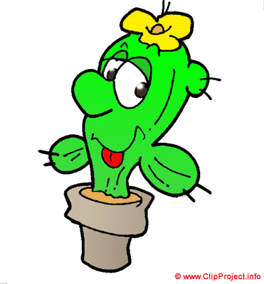 Cactus clip art image - Plant clipart free