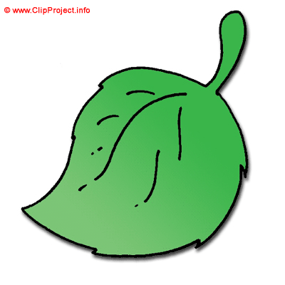 Green leaf clip art - Plant clipart free