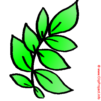 Leaf cartoon free