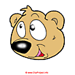 Bear clip art picture - Pictures of animals free