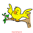 Bird clipart picture - Animal clip art