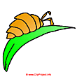 Bugs clipart - Animal clip art