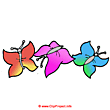 Butterfly clip art - Animal clip art