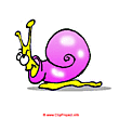 Cartoon snail clipart - Free funny pictures of animals