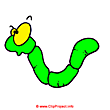 Green worm clip art - Animal clipart
