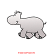 Hippo clipart - Pictures of wild animals