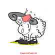 Mutton clip art - Free funny pictures of animals
