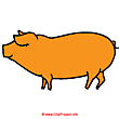 Piggy clipart - Animal clip art