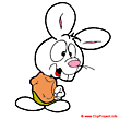 Cartoon Clipart Rabbit