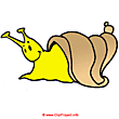 Free Clip Art Picture Snail