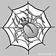 Spider clip art - Animal pictures for kids