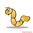 Worm Clipart free