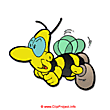 Comic bee image clip art free