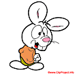 Cartoon bunny image free