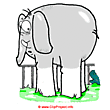 Elephant clip art - Zoo clip art free