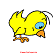 Chicken image clipart free