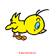 Chicken image farm free - Farm clip art free