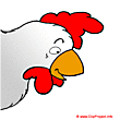 Cock clipart free - Farm clip art free