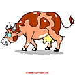 Cow image free