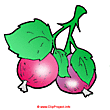 Currants image clipart free