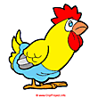 Hen clip art cartoon - Farm clip art free