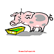 Pig on the farm clip art free