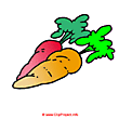 Carrots inage free in cartoon style