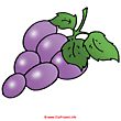 Grapes cartoon image free