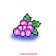 Grapes clip art - food clip art