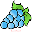 Grapes clip art free image - food clip art