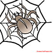 Spider cartoon image free - Halloween cliparts free